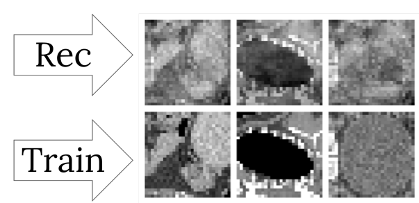 Thumbnail for Reconstruction attacks on Genetic Data